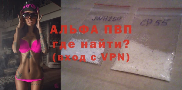дживик Пересвет