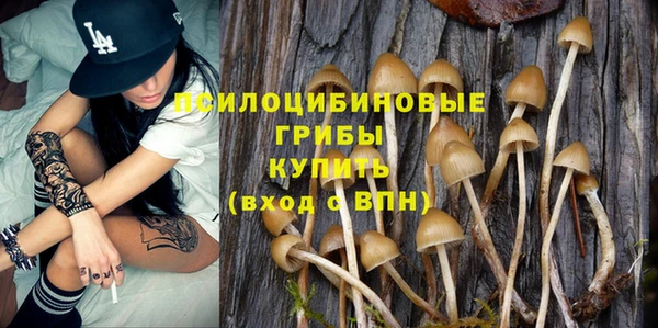 а пвп мука Аркадак