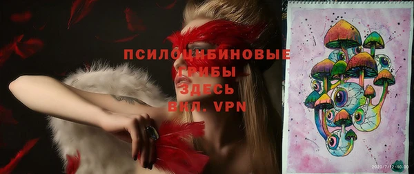 не бодяженный Арсеньев