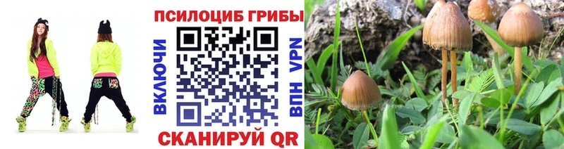 Псилоцибиновые грибы прущие грибы OMG рабочий сайт Полевской